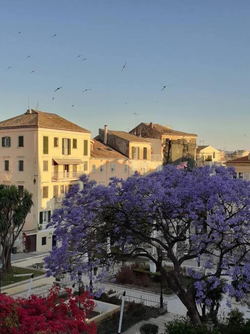Old Town Corfu Romantic Studio Manto Nymfes 아파트 외부 사진