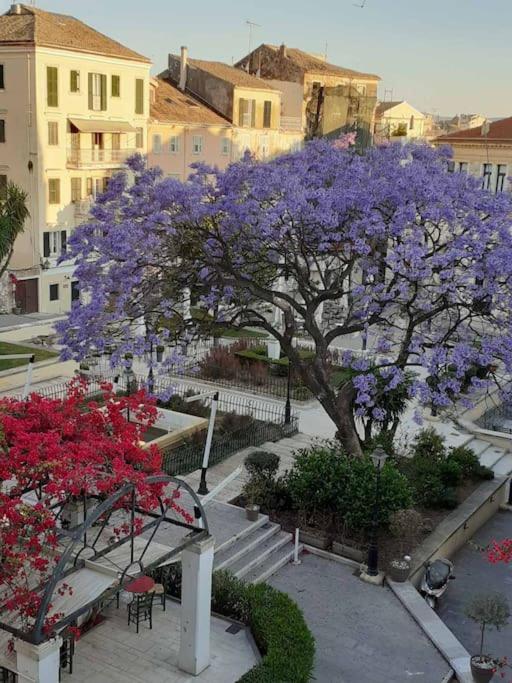 Old Town Corfu Romantic Studio Manto Nymfes 아파트 외부 사진
