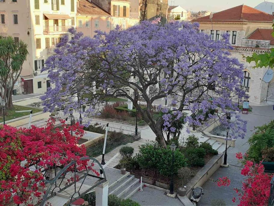 Old Town Corfu Romantic Studio Manto Nymfes 아파트 외부 사진