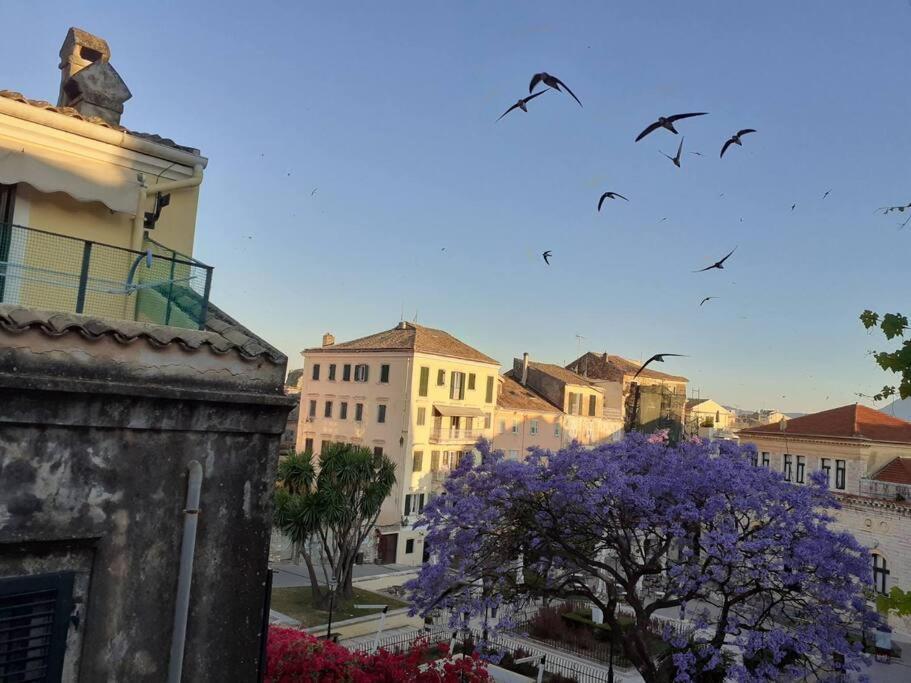 Old Town Corfu Romantic Studio Manto Nymfes 아파트 외부 사진